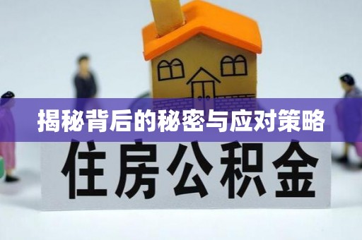 宜君揭秘背后的秘密与应对策略