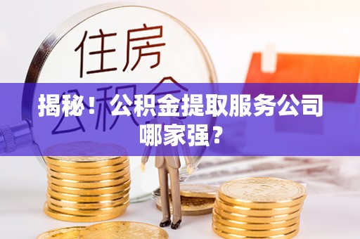 宜君揭秘！公积金提取服务公司哪家强？