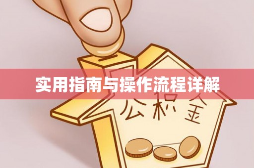 宜君实用指南与操作流程详解