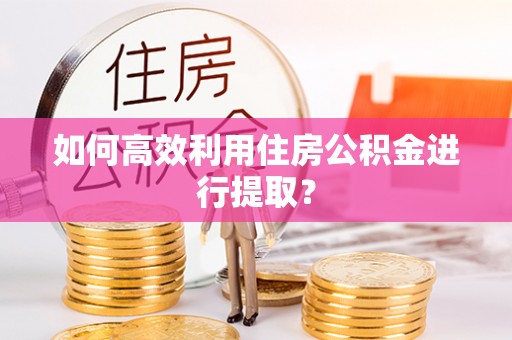 宜君如何高效利用住房公积金进行提取？