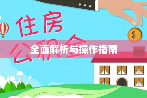 宜君全面解析与操作指南
