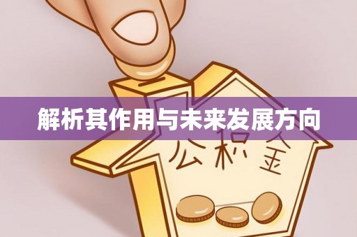 宜君解析其作用与未来发展方向